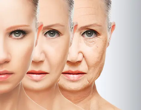 Food that helps to slow down your Age